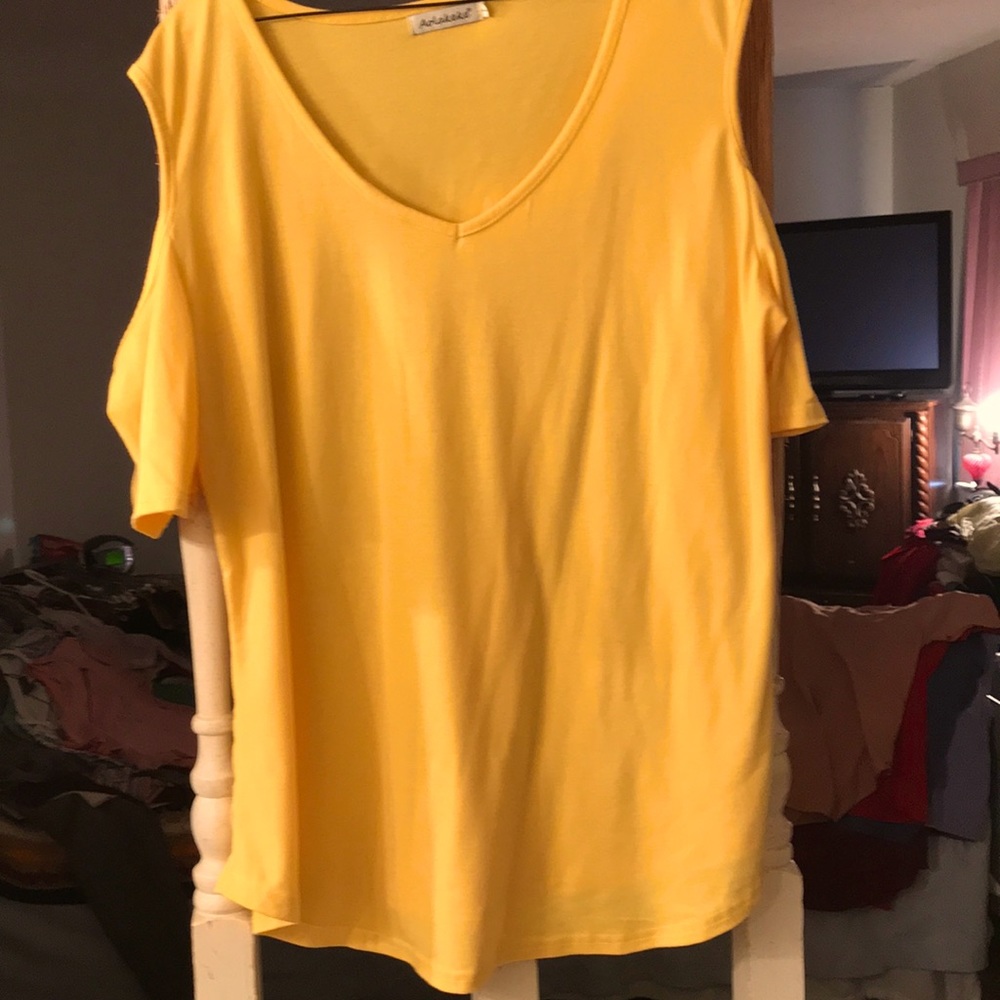 Ladies top